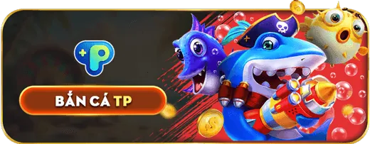 Đội ngũ chuyên gia HZ888